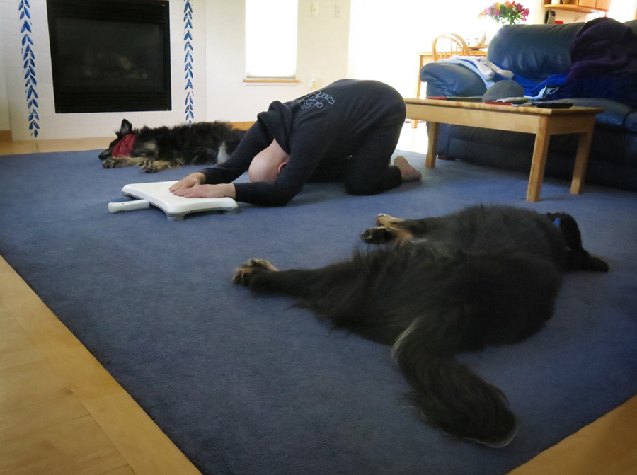 Mildlife dogs LOW REZ