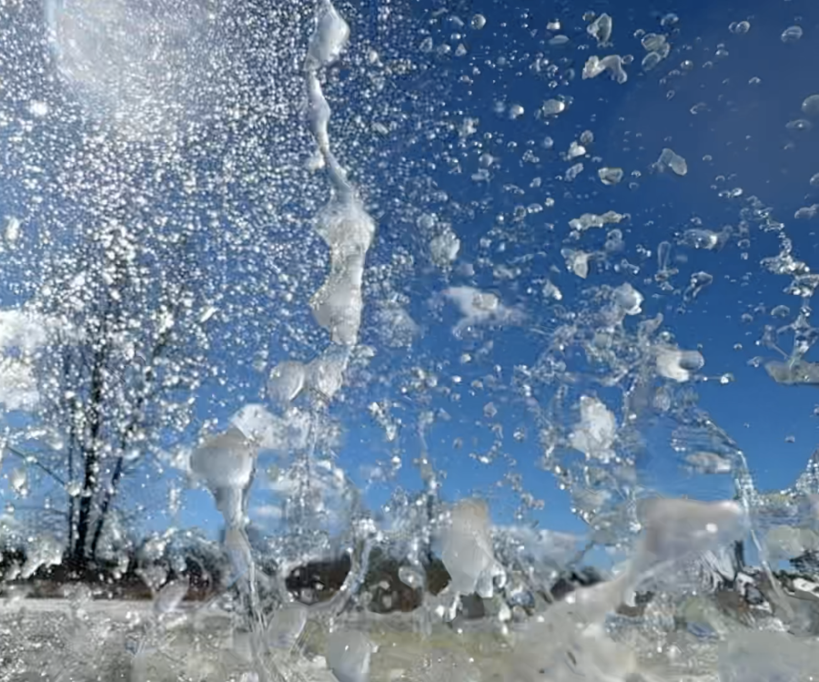 Snow Motion Snow Motion - RodneyCurtis.com